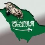 [photo:hr_saudi_2_thumbm_saudiwave.com]