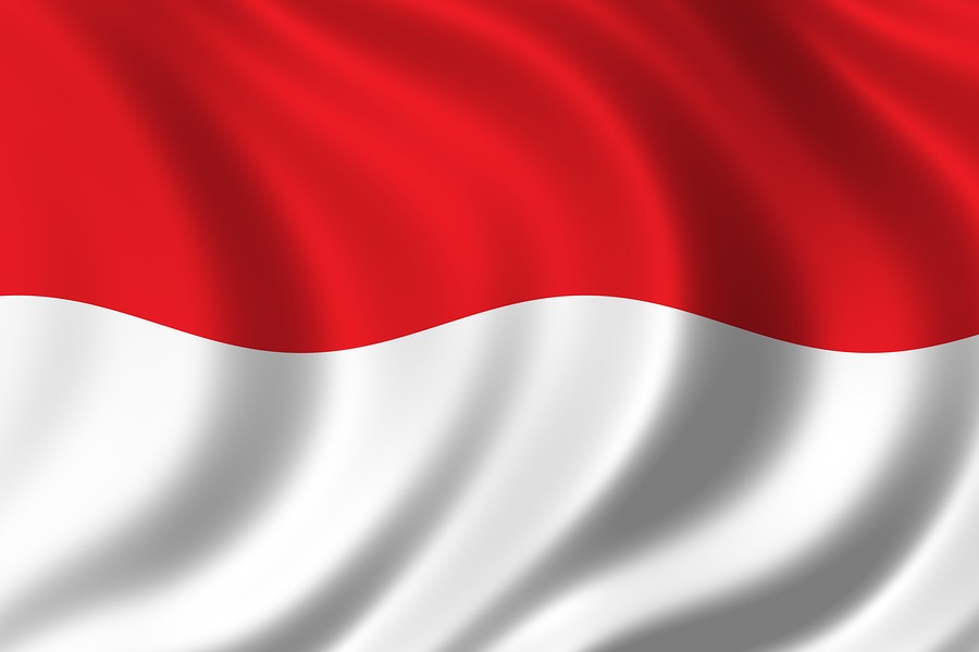 2011.5.3-Indonesia-flag