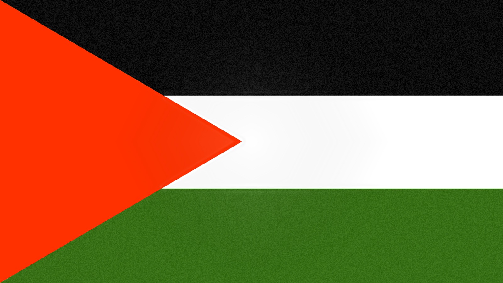 Press Release IHRC Launches Palestine Flag Campaign IHRC