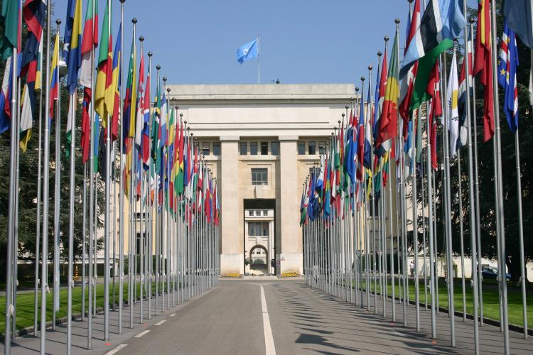 unitednations