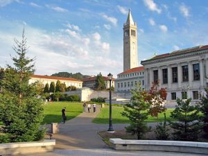 Berkeley_glade_afternoon