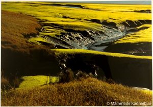 0008663_stream-carving-through-landscape