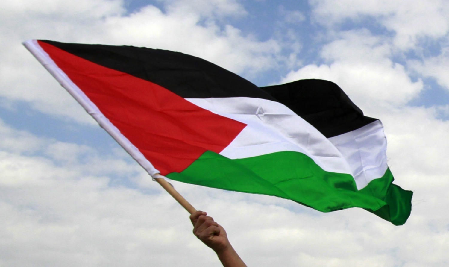 Palestine Flag