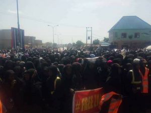 Nigeria Digest #48